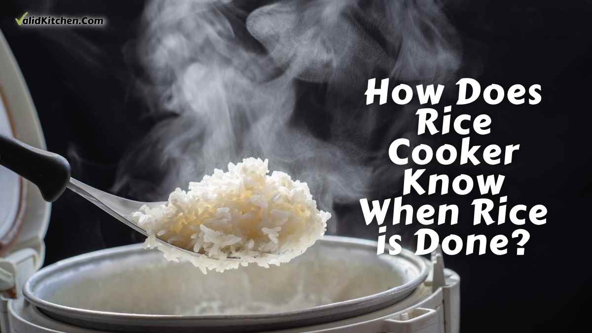 How Does a Rice Cooker Know When Rice is Done? [FAQs]